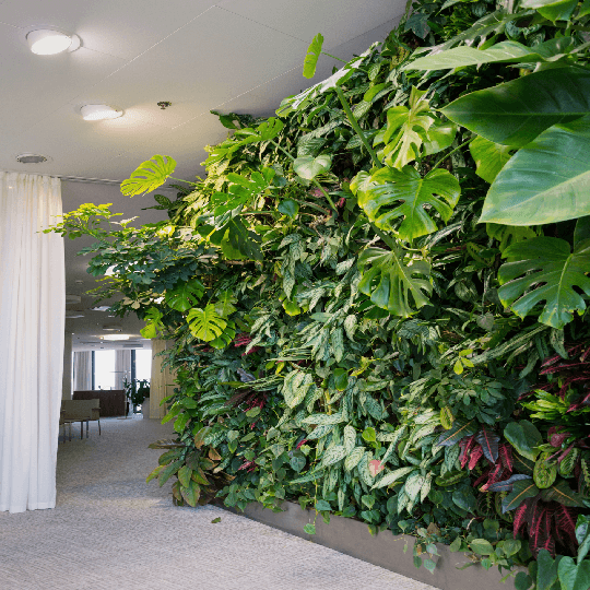 Artificial Garden